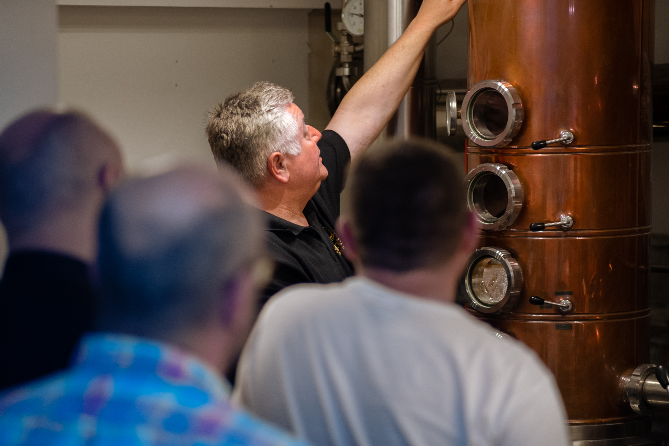 Whiskytasting Schottland vs Irland