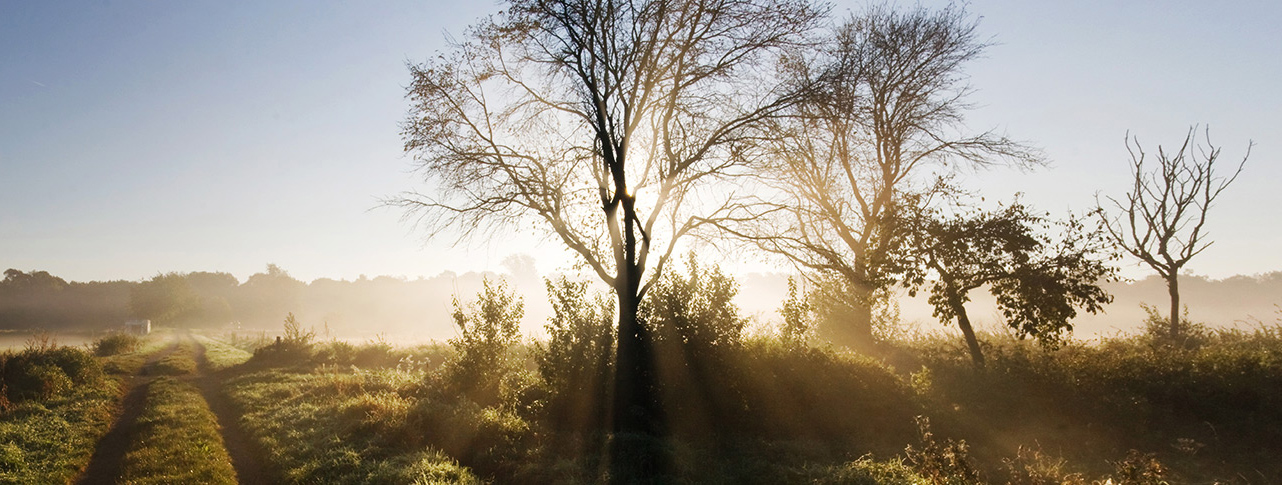 Fotokurs Landschafts Naturfotografie