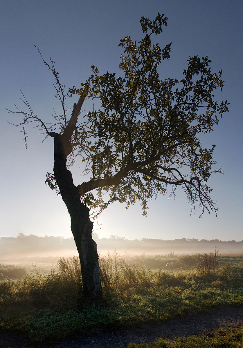 Fotokurs Landschafts Naturfotografie