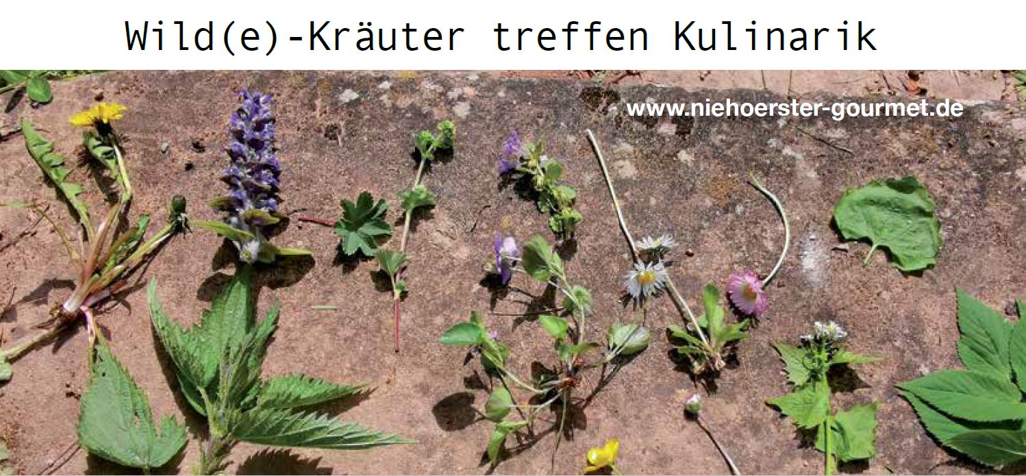 Wildkräuterführung Wildkräuterführung