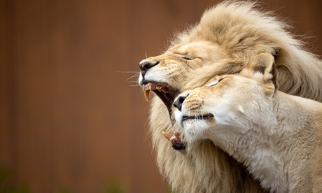 Familiepark Mondo Verde