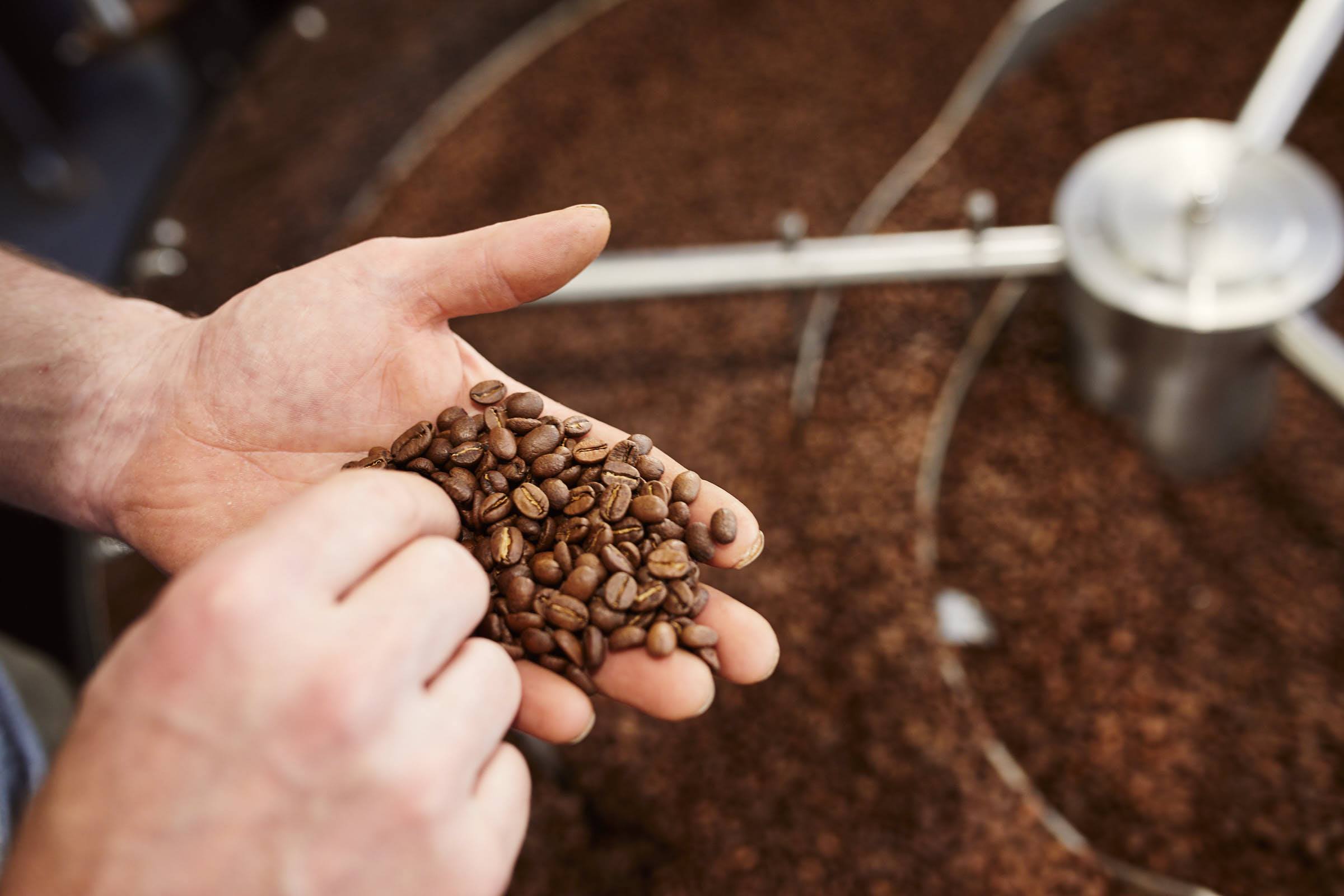 Wildkaffee Barista-Kurse